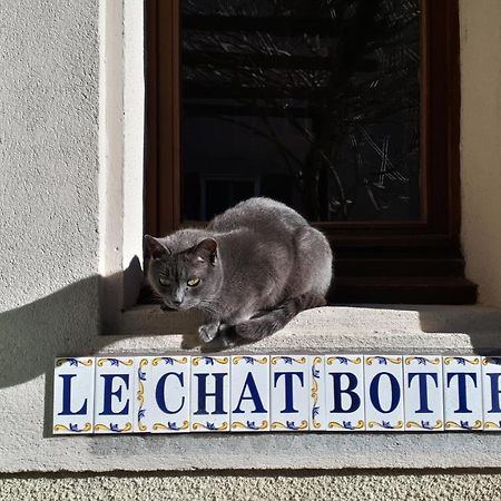 Le Chat Botte - Vankantiehuis In Languedoc-Roussillion Bed & Breakfast Routier Exterior foto