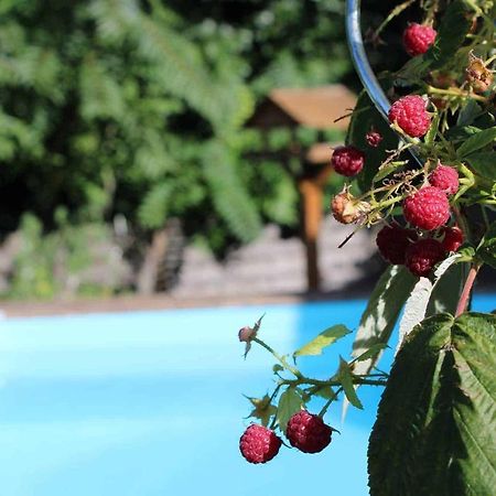 Le Chat Botte - Vankantiehuis In Languedoc-Roussillion Bed & Breakfast Routier Exterior foto
