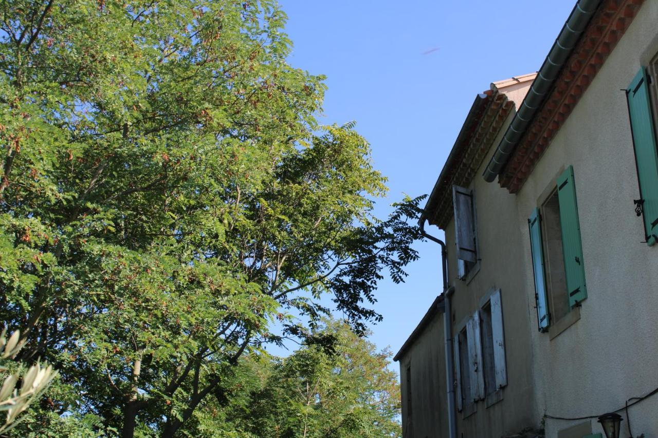 Le Chat Botte - Vankantiehuis In Languedoc-Roussillion Bed & Breakfast Routier Exterior foto