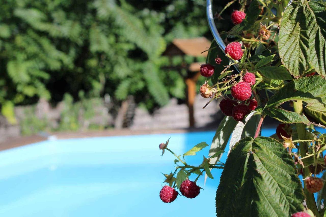 Le Chat Botte - Vankantiehuis In Languedoc-Roussillion Bed & Breakfast Routier Exterior foto